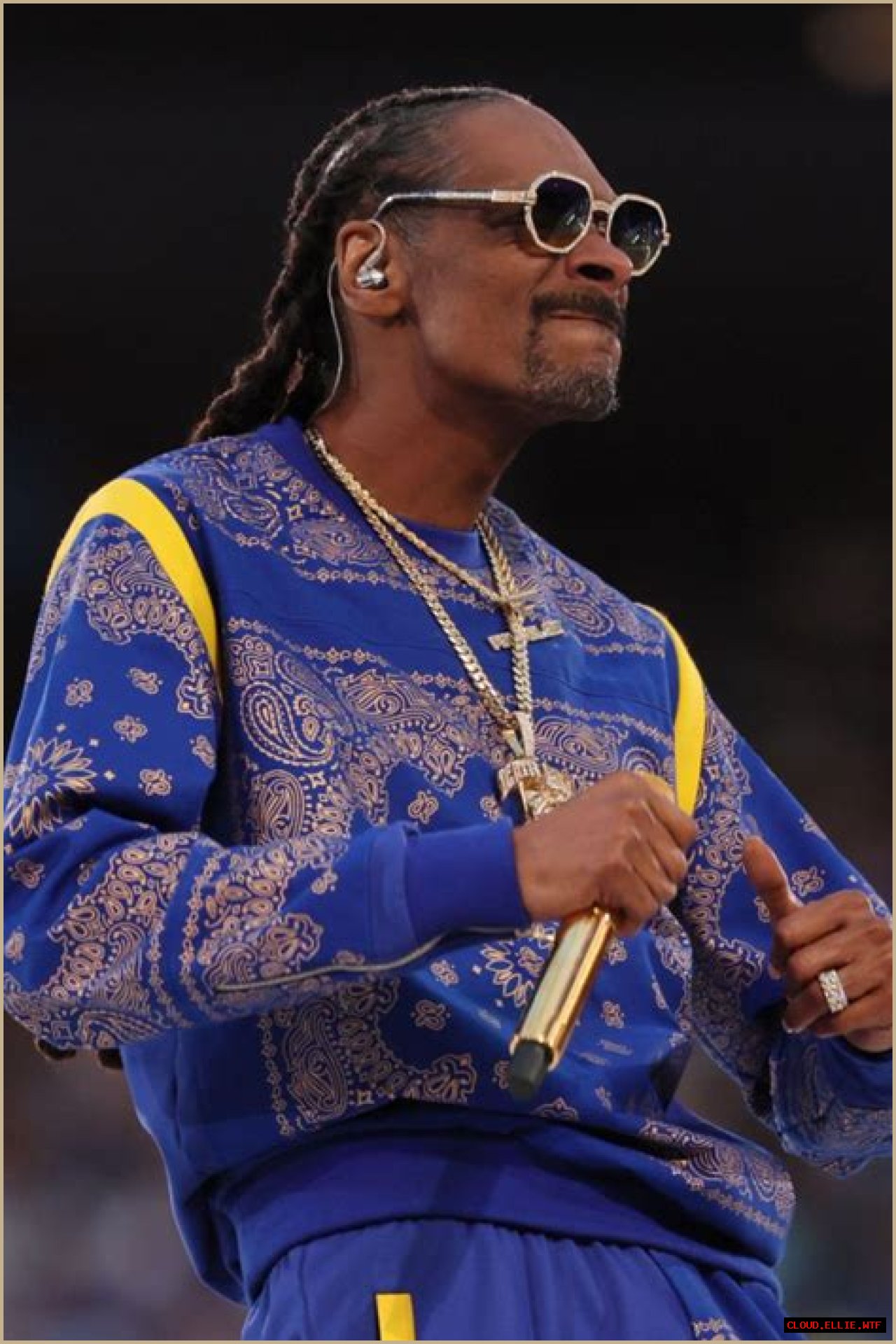 Snoop Dogg: The Controversial Life Of A Felon And Icon